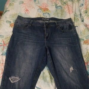 Maurices, distressed capri pants